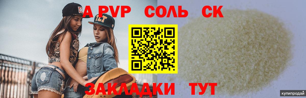 Альфа ПВП СК Королёв