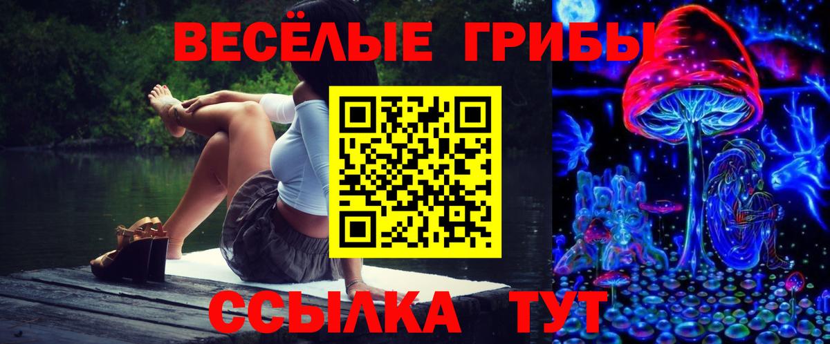 Королёв  Галлюциногенные грибы GOLDEN TEACHER  Вход с VPN 